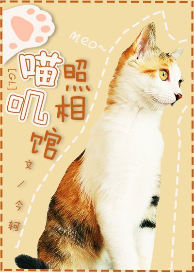 《喵嘰照相館》