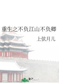 重生之不负江山不负卿