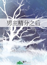 男主精分之後