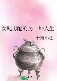 《女配男配的另一种人生》