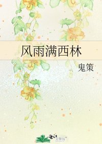 《风雨满西林》