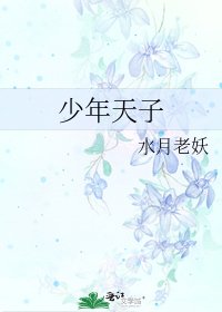 《少年天子》