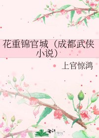 花重锦官城(成都武侠)
