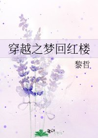 穿越之梦回红楼