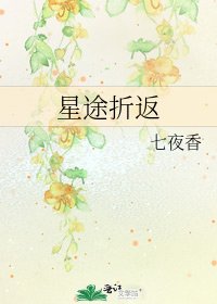 星途折返