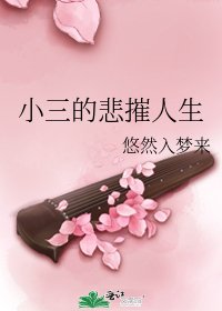 《小三的悲摧人生》
