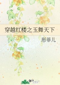 《穿越红楼之玉舞天下》