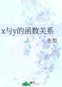 《x與y的函式關係》