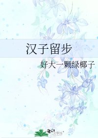 汉子留步