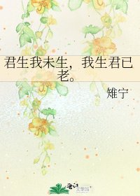 君生我未生,我生君已老。