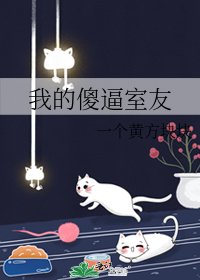 我的傻蔽室友
