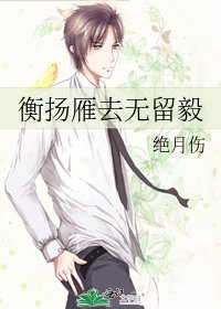 《衡扬雁去无留毅》