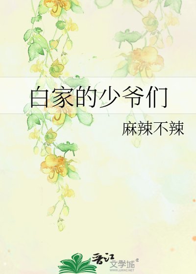 摆家的少爺們