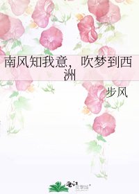 《南风知我意,吹梦到西洲》