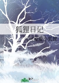 《狐狸日记》