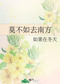 莫不如去南方