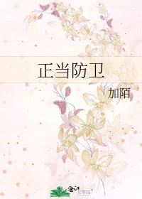 《正当防卫》
