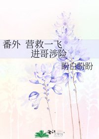 番外 營救一飛 進哥涉險