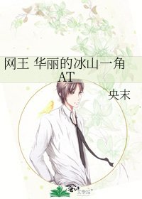 《网王 华丽的冰山一角AT》