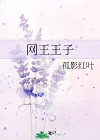网王王子
