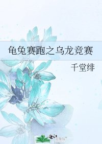 龟兔赛跑之乌龙竞赛