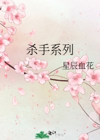《杀手系列》