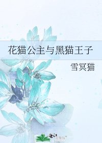 《花貓公主與黑貓王子》