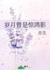 岁月曾是惊鸿影