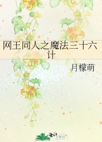 《网王同人之魔法三十六计》