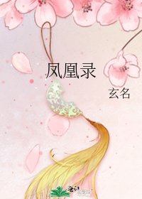 《鳳凰錄》