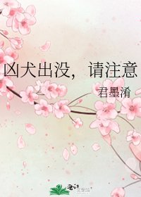 《凶犬出没,请注意》