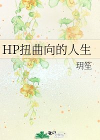 HP瓷曲向的人生