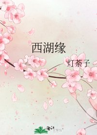 《西湖缘》