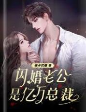 閃婚老公是億萬總裁