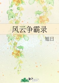 《風雲爭霸錄》