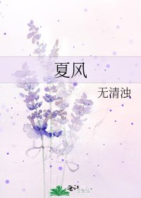 《夏风》