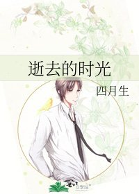 《逝去的时光》