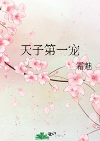 天子第一宠