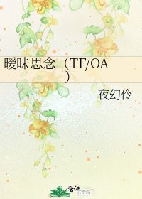 暧昧思念(TF/OA)