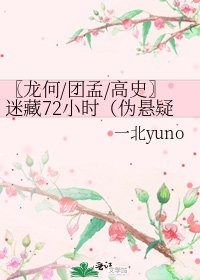 〖龙何/团孟/高史〗迷藏72小时(伪悬疑)