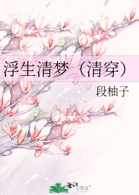 浮生清夢(清穿)