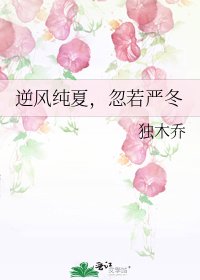 《逆风纯夏,忽若严冬》