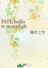 《FATE/hollow moonlight》