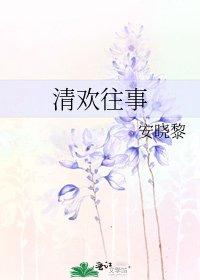 清歡往事