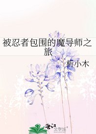 《(火影同人)被忍者包圍的魔導師之旅》