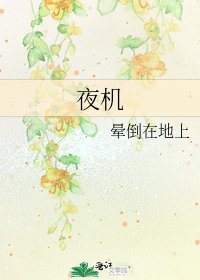 《夜機》