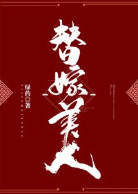 《雁字回時/替嫁美人》