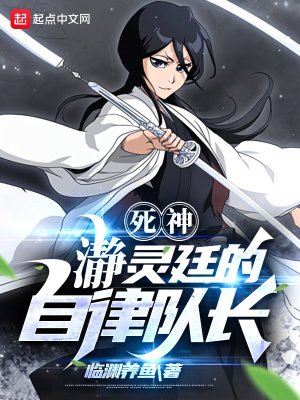 《(死神同人)死神:瀞灵廷的自律队长》