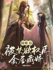 錦帳春:被禁慾權臣金屋藏嬌/權寵:禁慾權臣的心嬌嬌