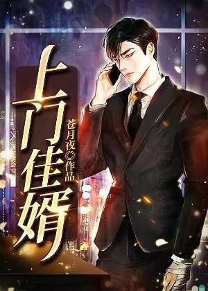 《上門佳婿》